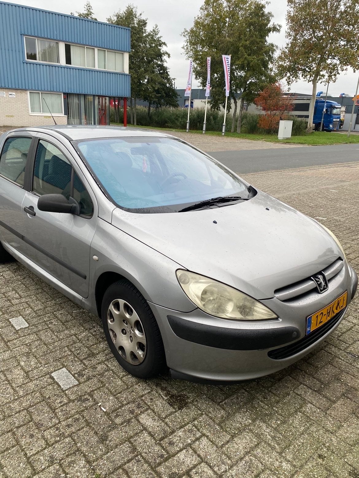 Peugeot 307 1.6 16V XR 5DR 2001 Grijs/ EXPORT, Voorwielaandrijving, 4 cilinders, 610 kg, 1200 kg