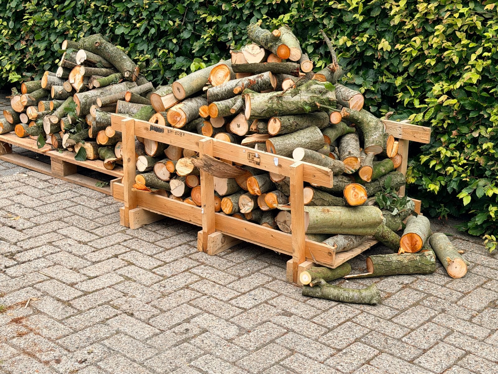 Vers gezaagd haardhout, Tuin en Terras, Haardhout, 3 tot 6 m³, Ophalen, Elzenhout, Blokken