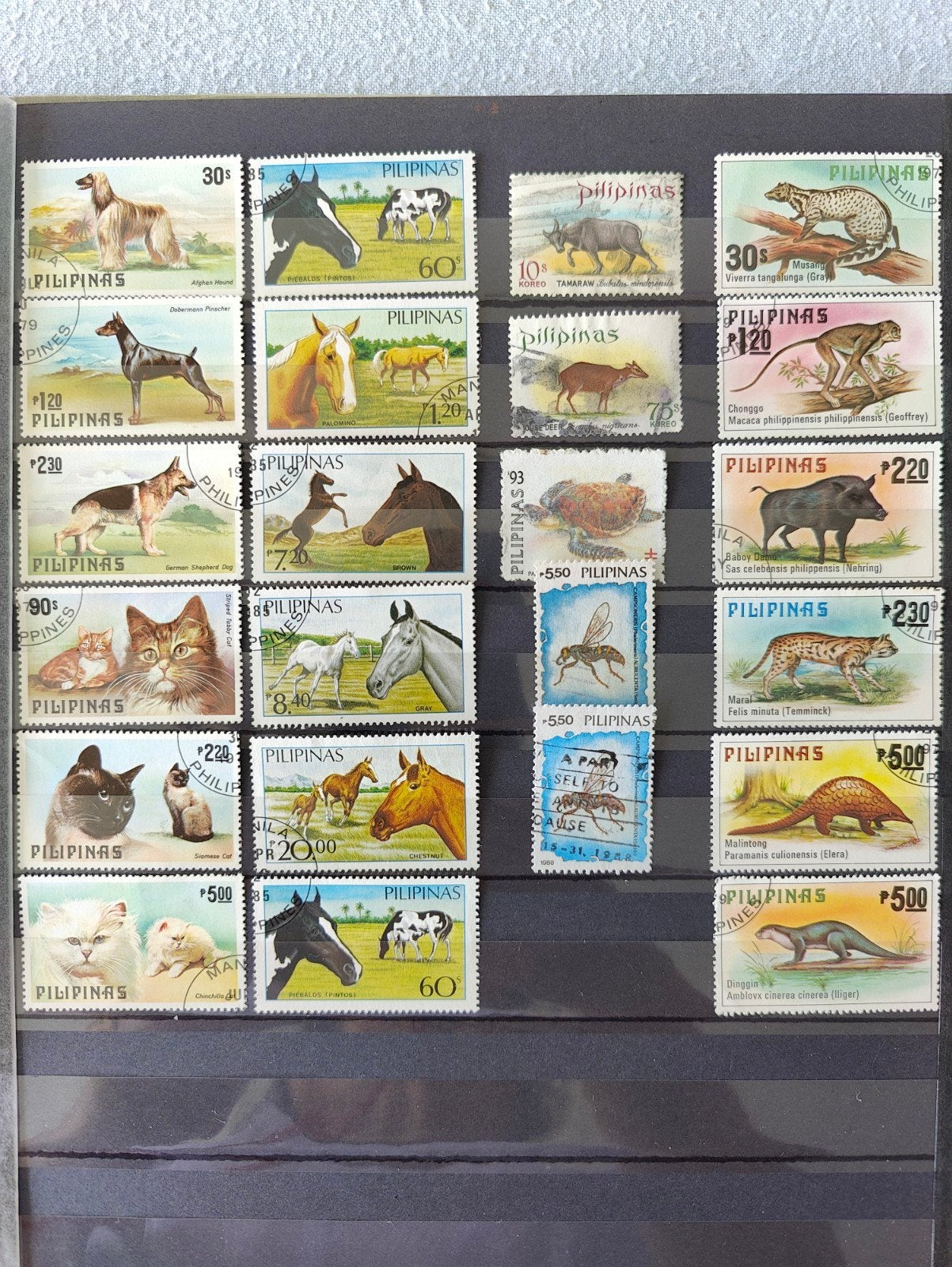 Filipijnen postzegels: Dieren (honden, katten, paarden), Ophalen of Verzenden, Na 1940, Gestempeld