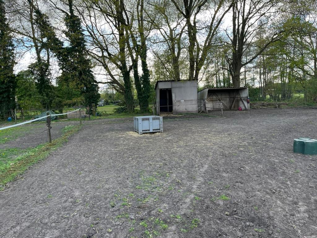 Weidegang ruin(en) aangeboden, Weidegang, 1 paard of pony