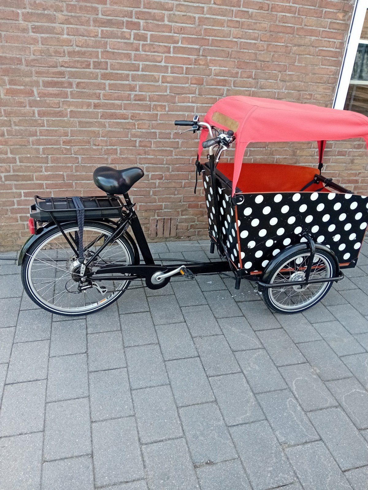 Elektrische Bakfiets, Ophalen, Zo goed als nieuw, 4 kinderen of meer, Huif