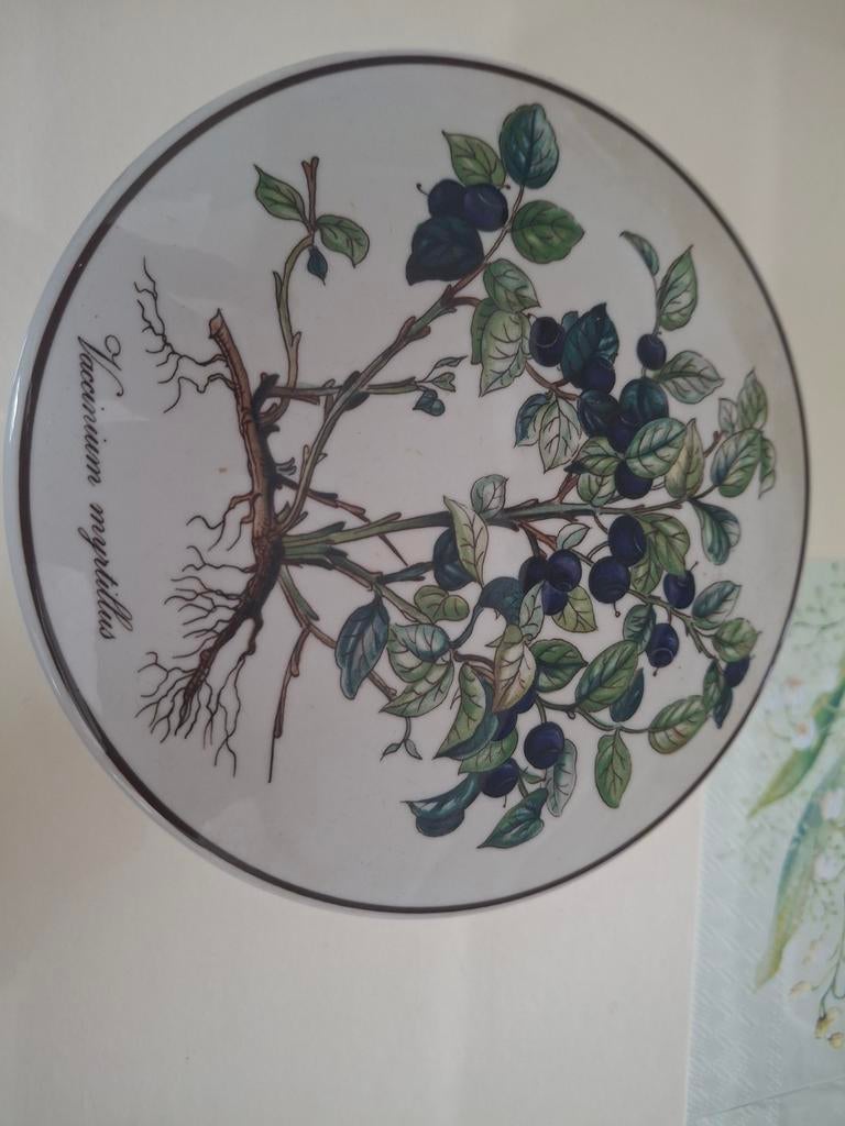 Villeroy & boch schaaltje met deksel, Antiek en Kunst, Ophalen of Verzenden