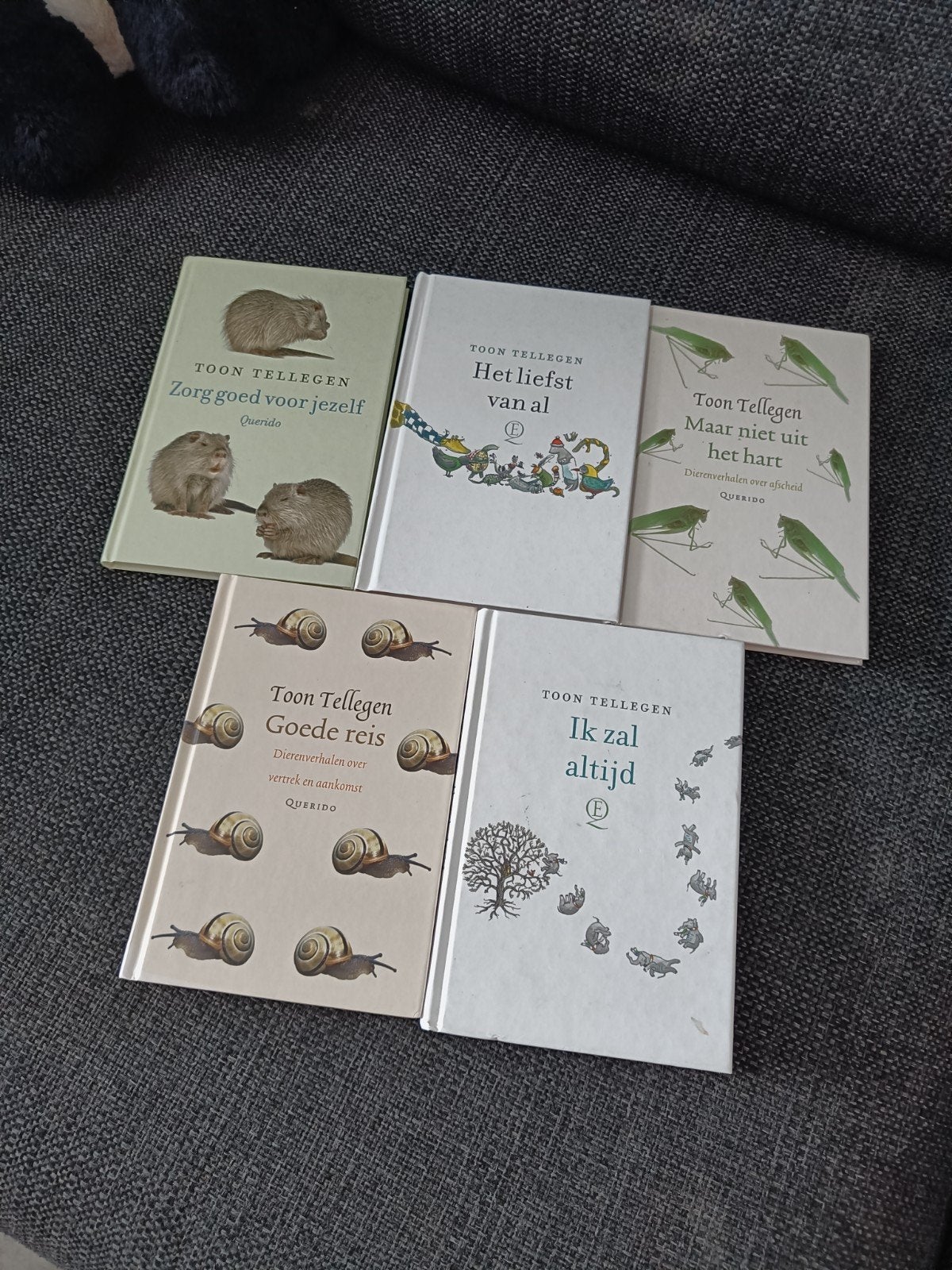Toon Tellegen Boeken Collectie - 5 Stuks, Ophalen of Verzenden, Zo goed als nieuw, Toon Tellegen, Nederland