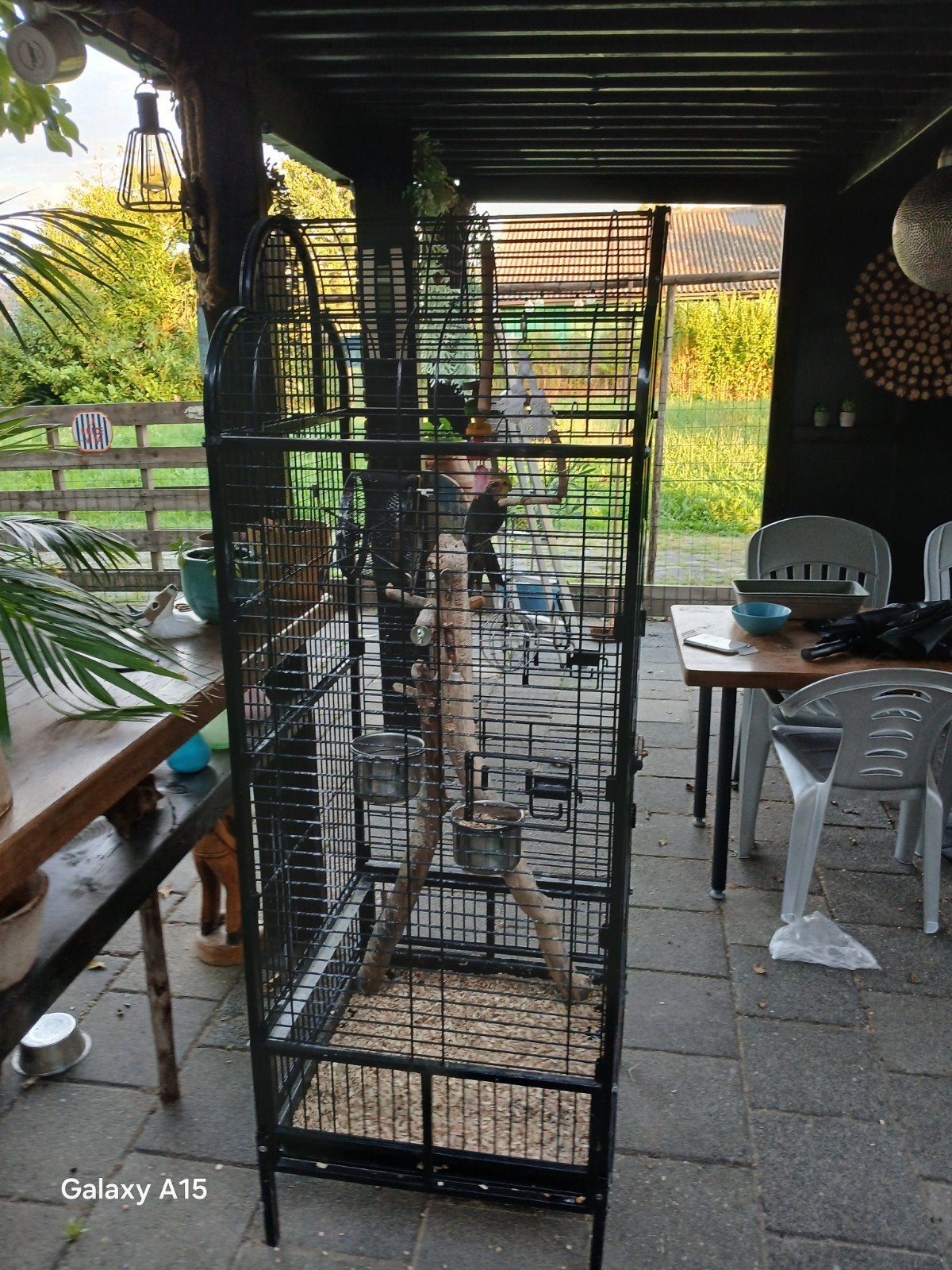 valkparkiet inclusief kooi, Ophalen, Zo goed als nieuw, Metaal, Vogelkooi