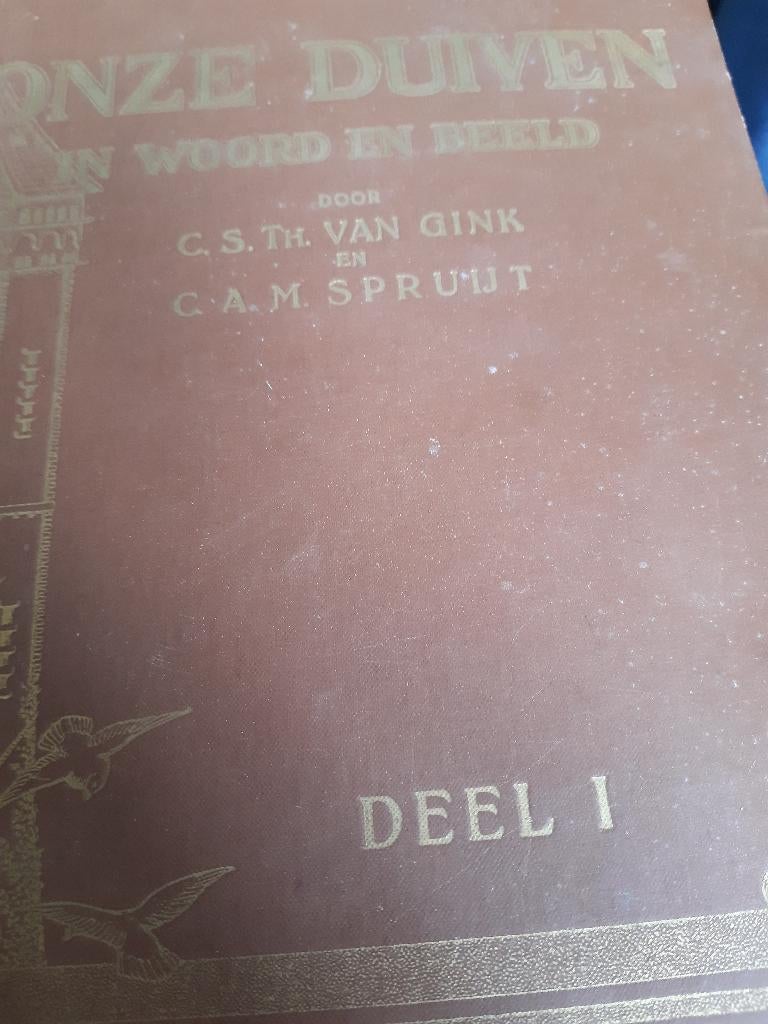 pleines boek van spruit kompleet, Mannelijk, Overige soorten