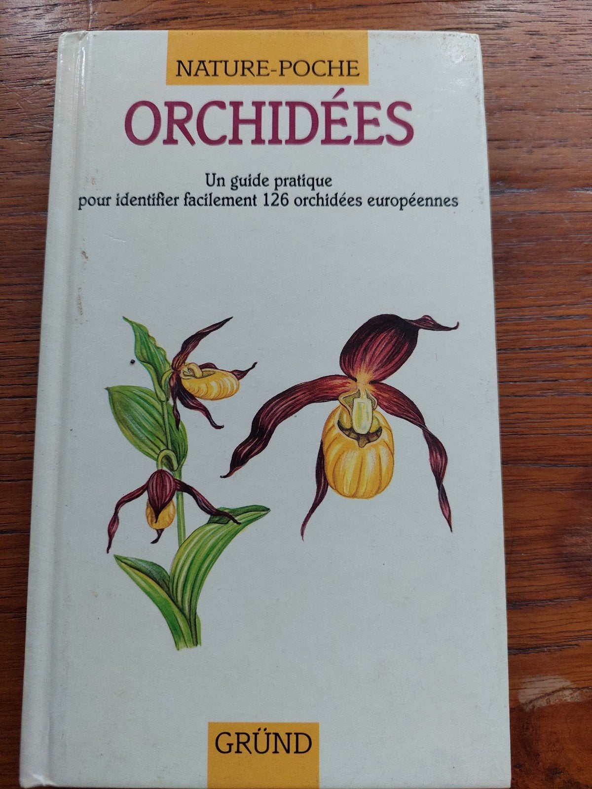 Orchideeën: Praktische gids voor Europese orchideeën, Ophalen of Verzenden, Gelezen, Bloemen, Planten en Bomen, Onbekend