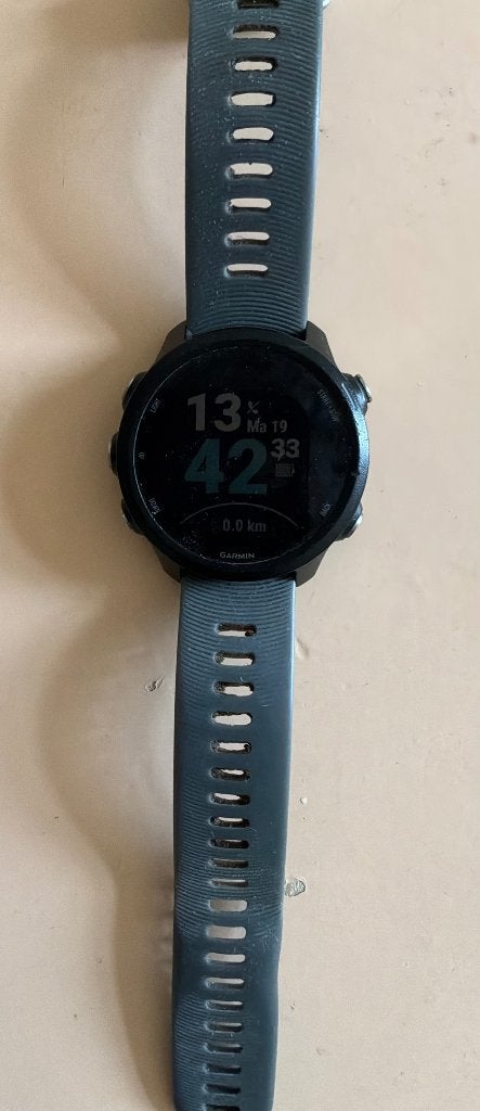 Garmin Forerunner 245, Zwart, Garmin, Ophalen of Verzenden, Stappen