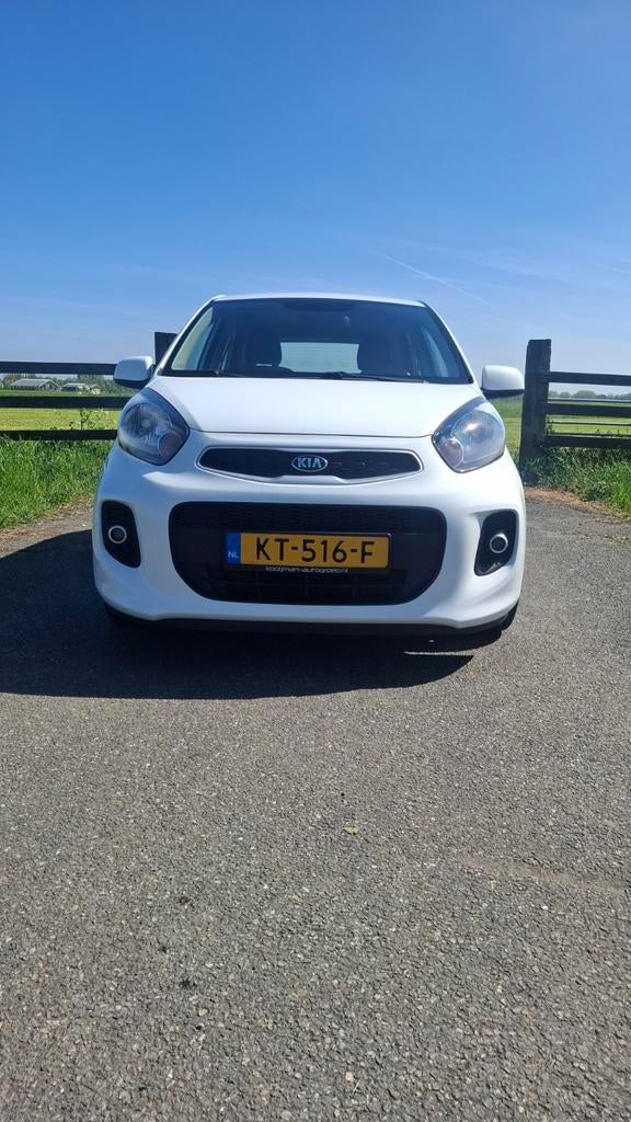 Kia Picanto 1.0 Cvvt 66 PK 5D 2016 Wit, Stof, Zwart, 4 stoelen, Wit