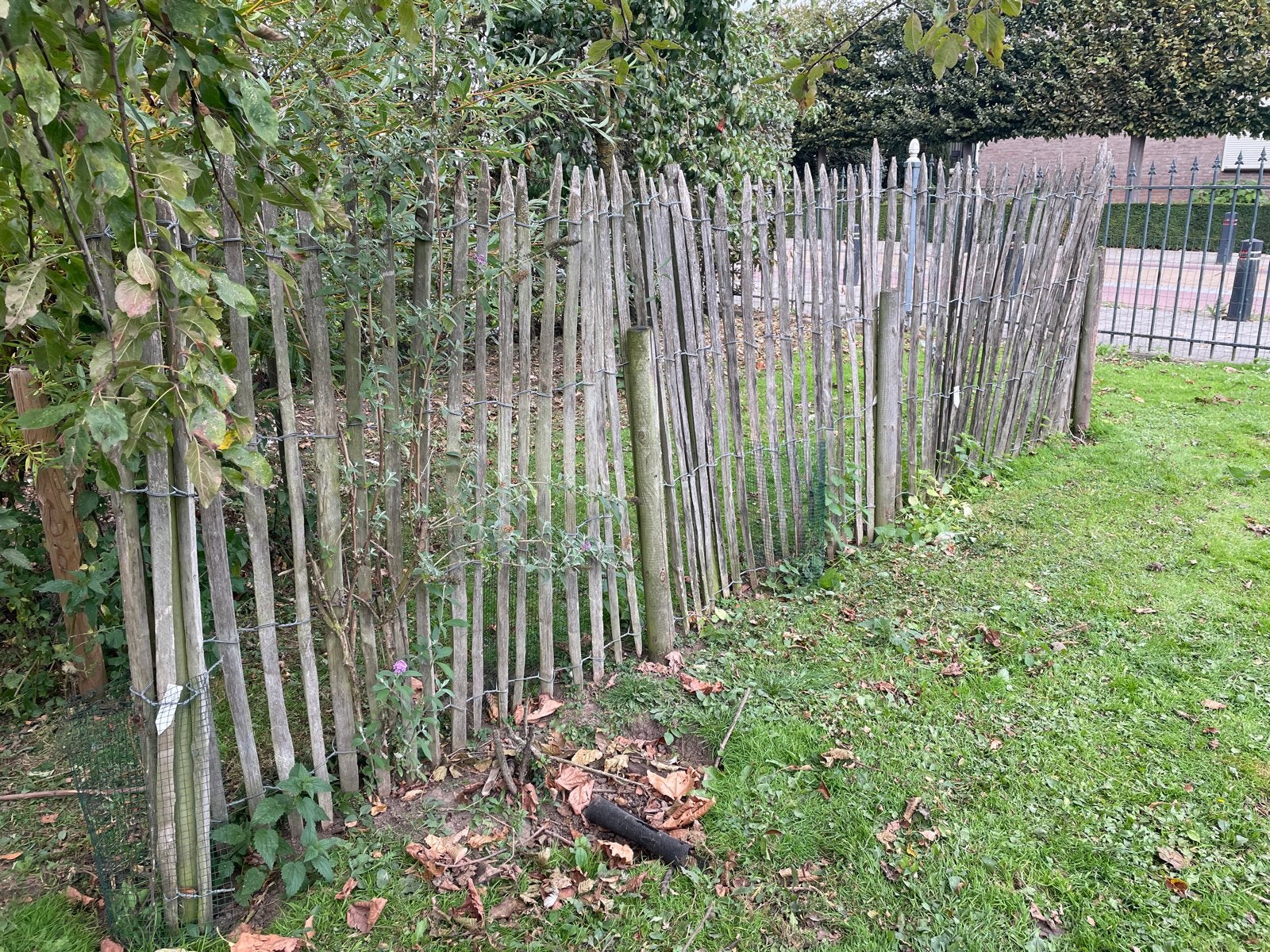 Schapenhek 150cm hoog, Tuin en Terras, Ophalen, Gebruikt, Hout, Tuinhek