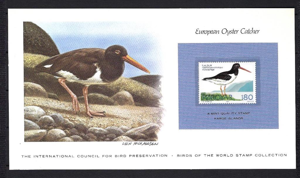 VOGELS kaart Foroyar European Oyster Cather (zegel XX), Ophalen of Verzenden, Postfris, Dier of Natuur