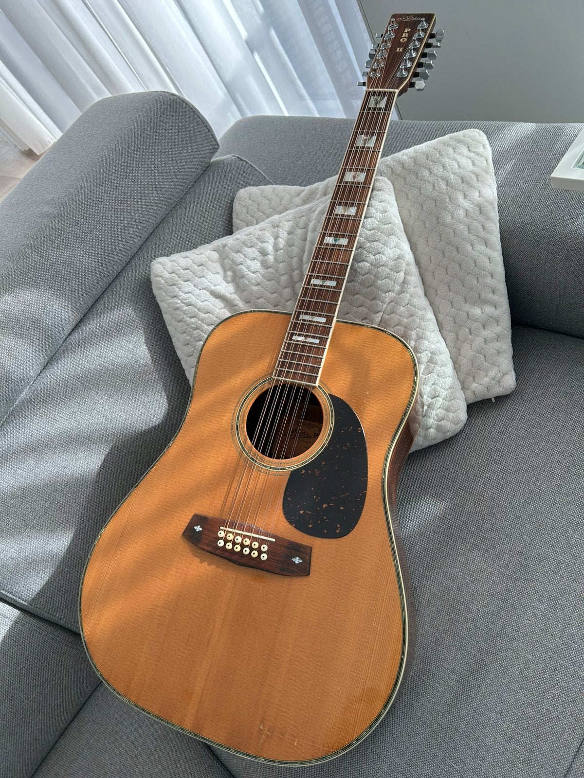 1980S ARIA PRO II PW-65-12 (12string), Muziek en Instrumenten, Ophalen, Zo goed als nieuw, Western- of Steelstringgitaar