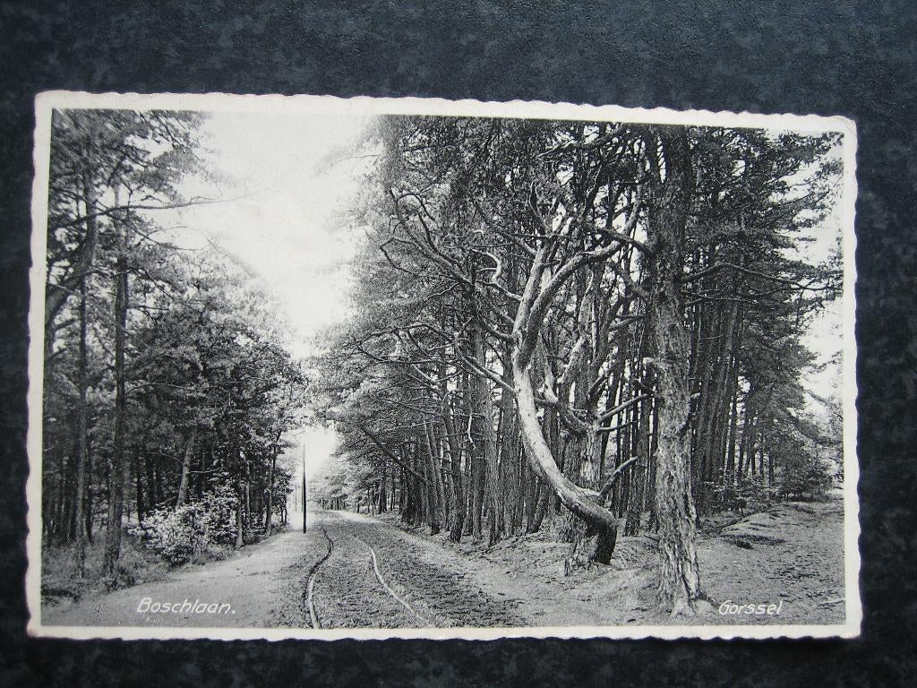 GORSSEL Boschlaan, Ophalen of Verzenden, 1940 tot 1960, Gelderland