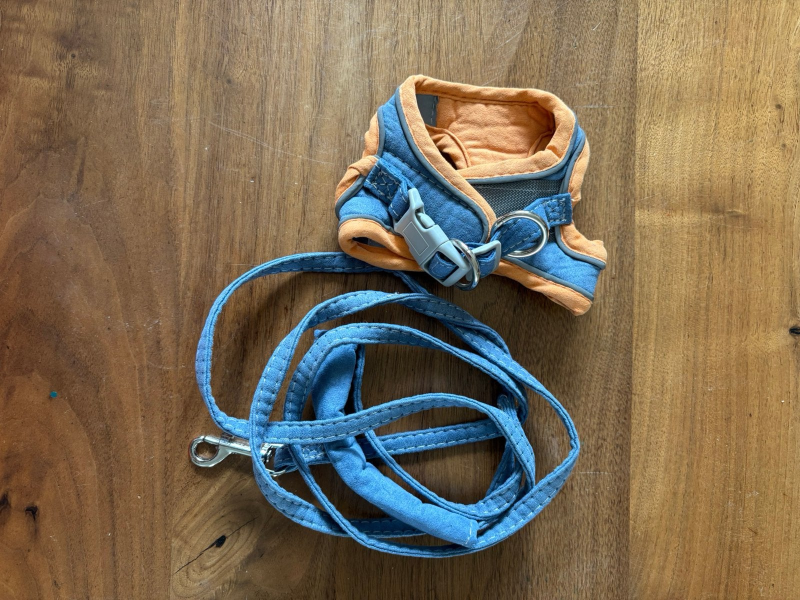 Tuigje met riem voor kat of kleine hond, Ophalen of Verzenden, Zo goed als nieuw