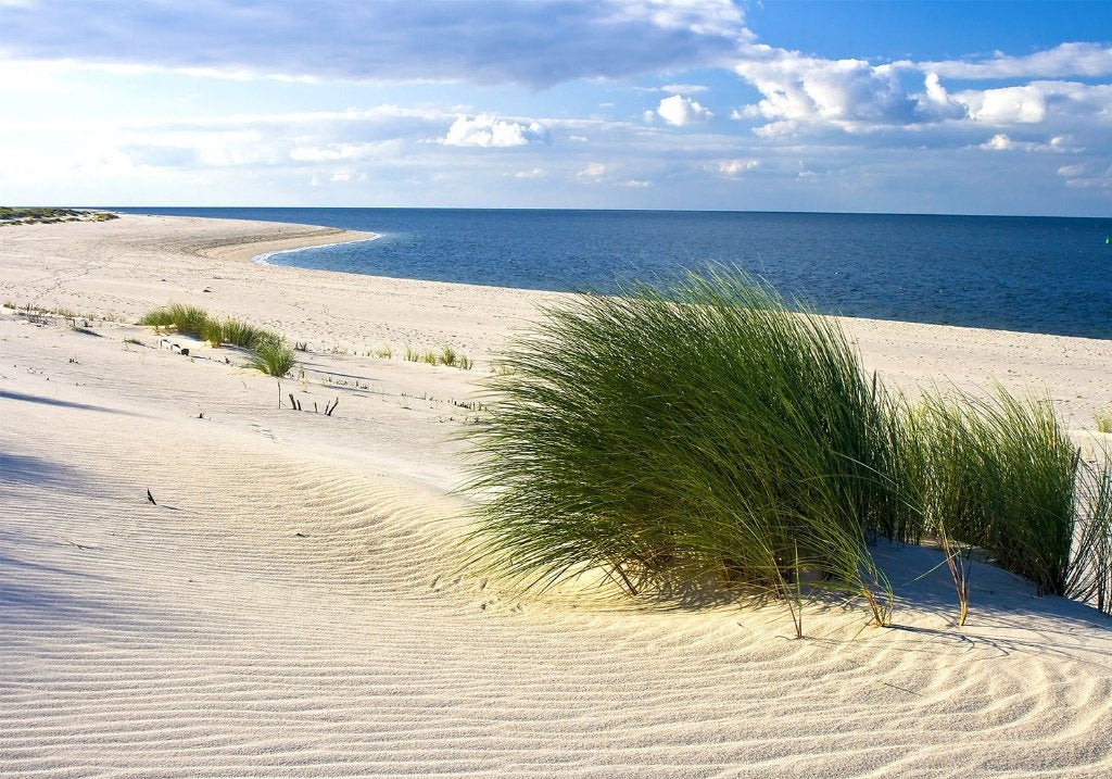 12 Duinen Strand Zee Vlies Fotobehang 350x250cm BxH Nieuw, Huis en Inrichting, Stoffering | Behang, Ophalen of Verzenden, Fotobehang