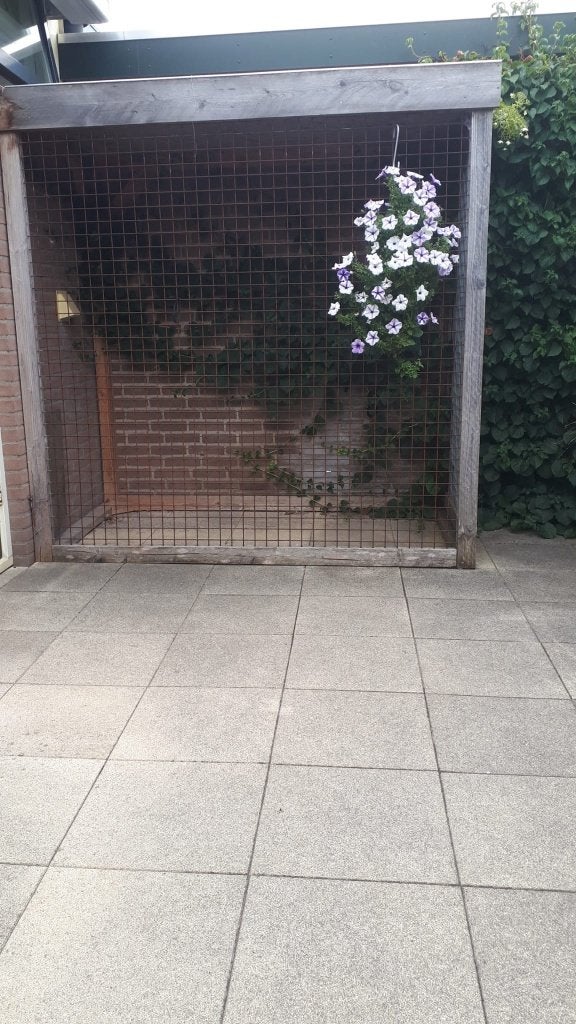 Te koop, Kater