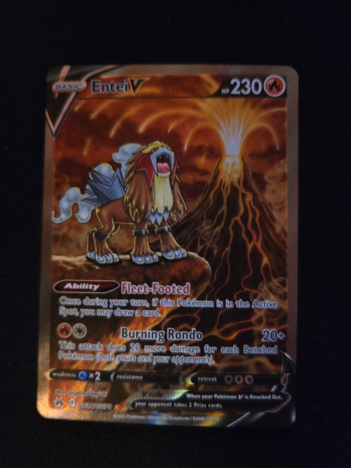 entei v gg36