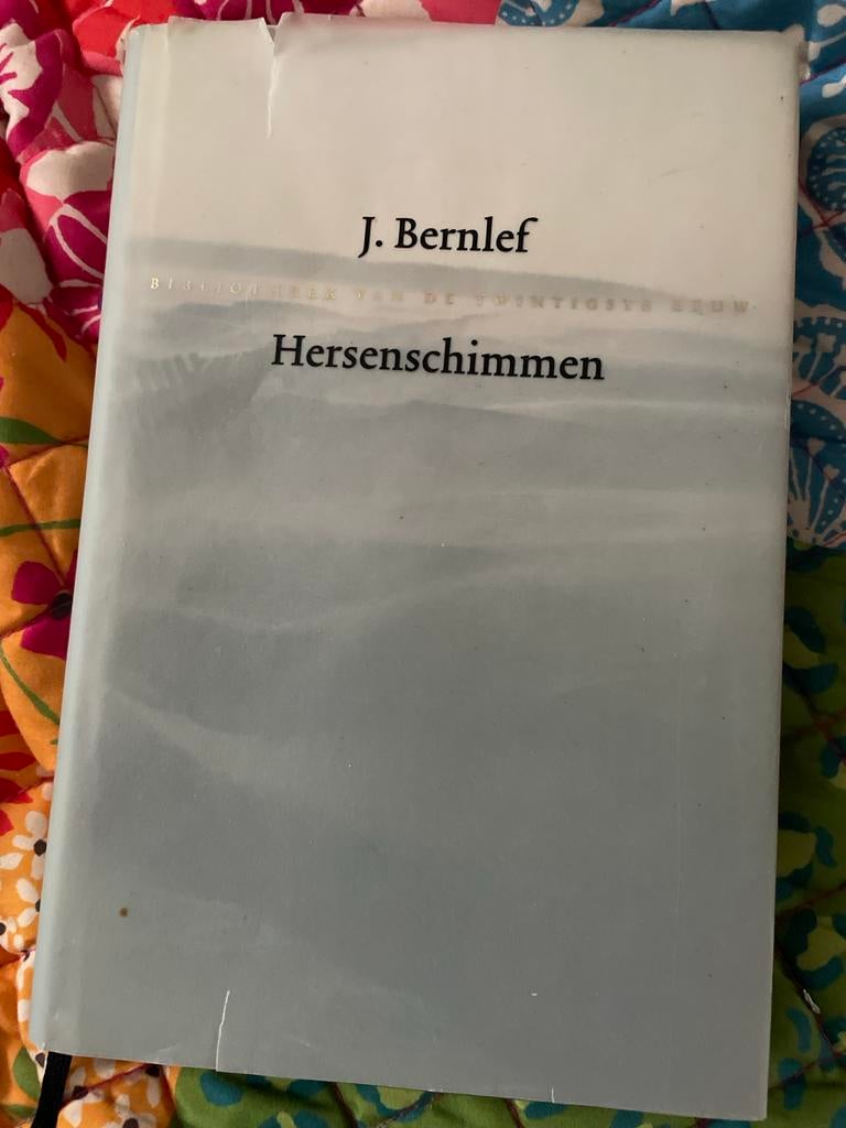 J. Bernlef - Hersenschimmen, Boeken, Ophalen of Verzenden, Gelezen, Nederland
