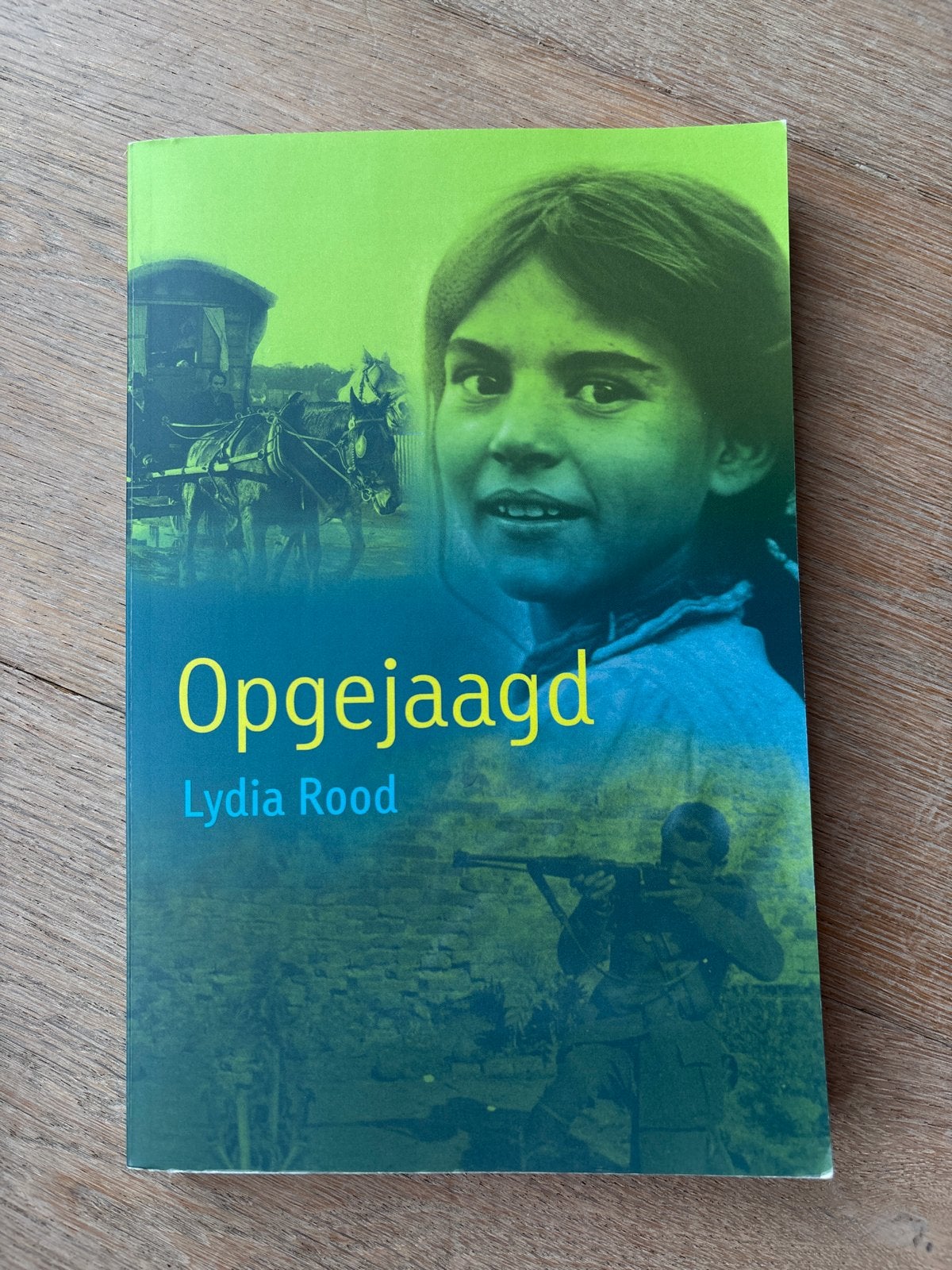 Opgejaagd - Lydia Rood (Zo goed als nieuw), Boeken, Ophalen of Verzenden, Zo goed als nieuw, Fictie