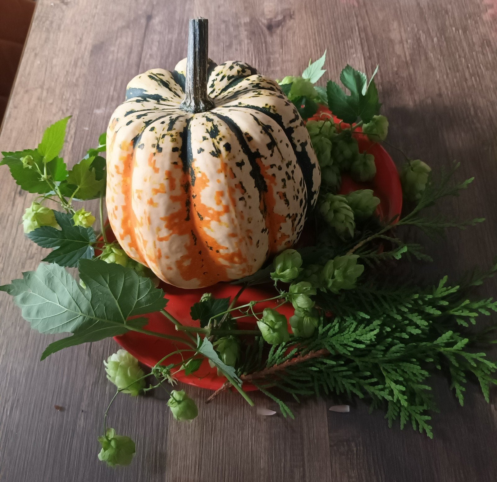 Mooie herfststukjes., Ophalen, Halfschaduw, Minder dan 100 cm