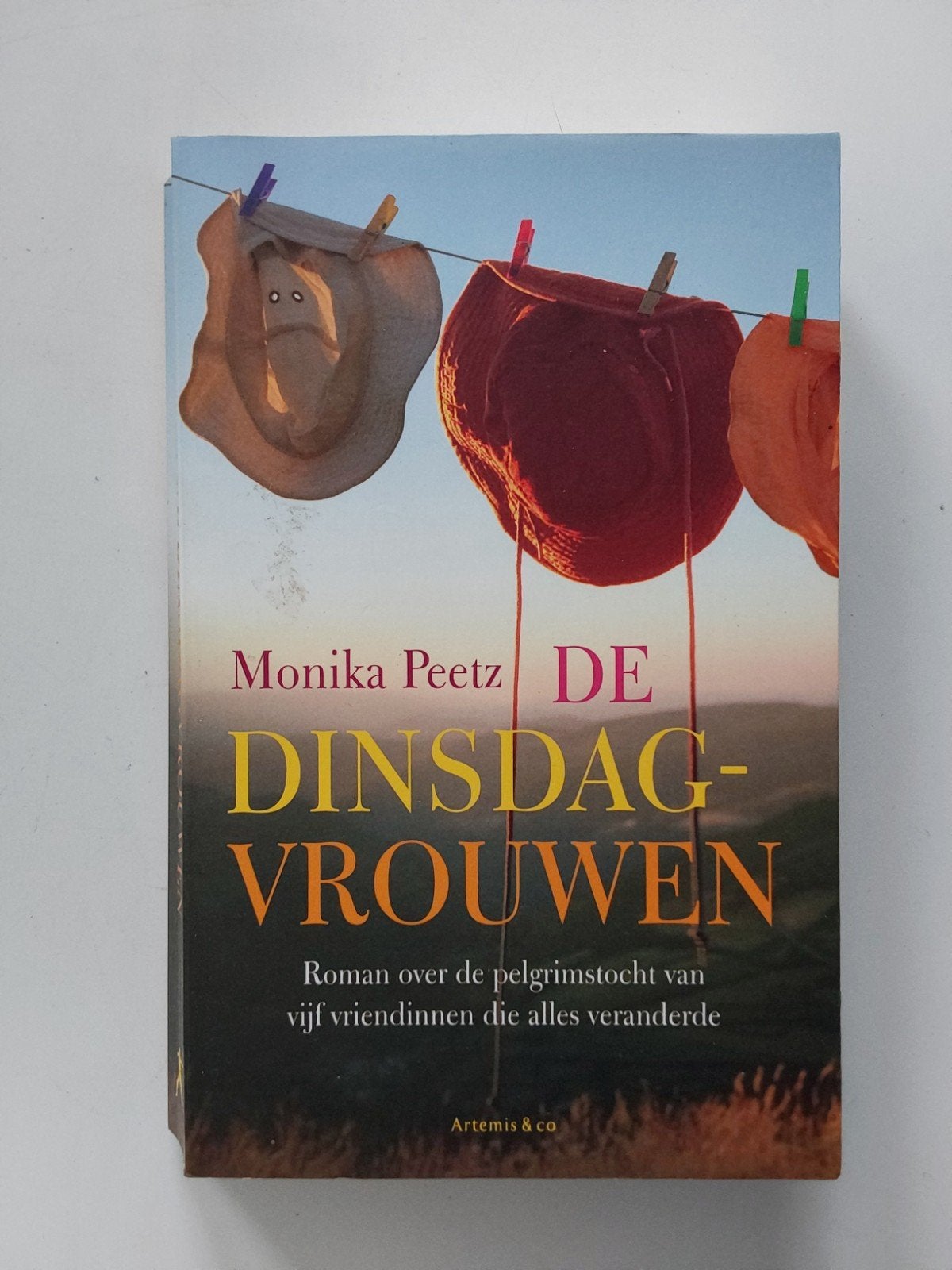 Monika Peetz : De Dinsdagvrouwen, Boeken, Gelezen, Europa overig, Ophalen of Verzenden, Monika Peetz