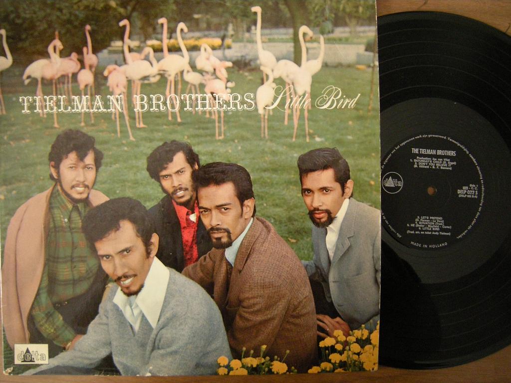 The Tielman Brothers (Little Bird), Cd's en Dvd's, Gebruikt, Ophalen of Verzenden, 12 inch, Poprock