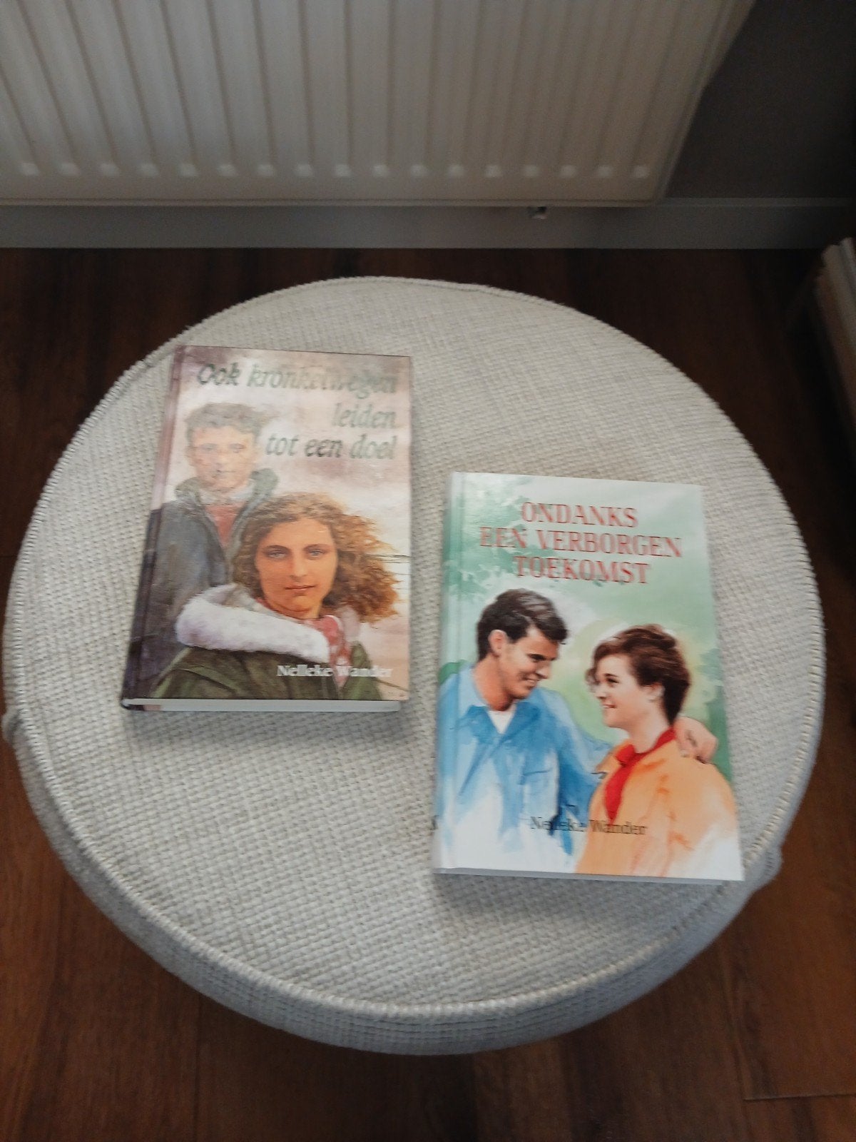 Nelleke Wanders 2 boeken zie foto.s, Boeken, Ophalen of Verzenden, Gelezen, Nelleke Wander, Nederland