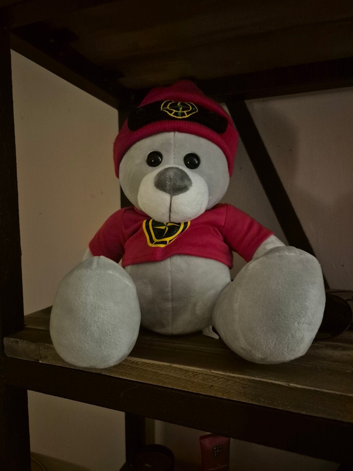 Leuke grijze teddybeer met rode trui en muts, Ophalen, Overige merken, Overige karakters, Beer