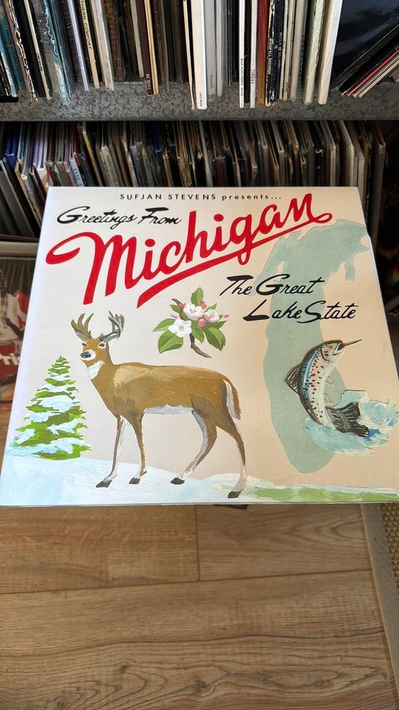 Sufjan Stevens - Greetings from Michigan 2LP Vinyl, Cd's en Dvd's, Vinyl | Pop, Ophalen of Verzenden, Zo goed als nieuw, 12 inch