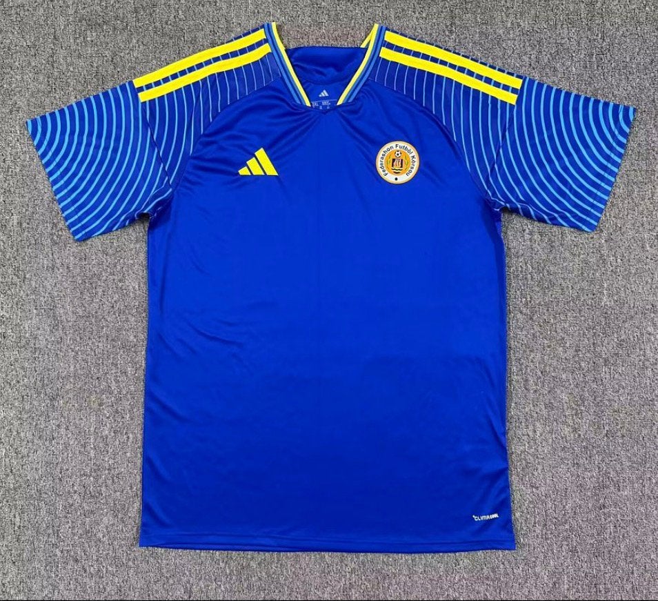 Curaçao thuisshirt wk 2026, Ophalen of Verzenden, Zo goed als nieuw, Shirt
