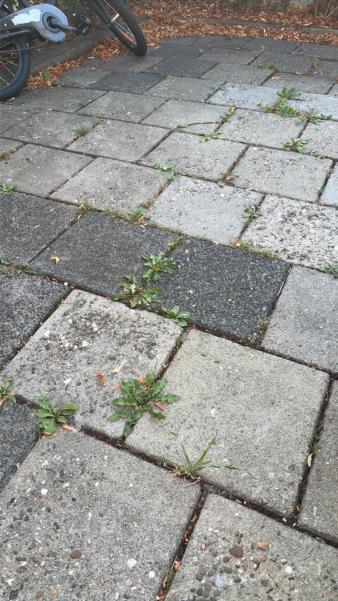 Gratis afhalen, Ophalen, Gebruikt, 10 m² of meer, Beton