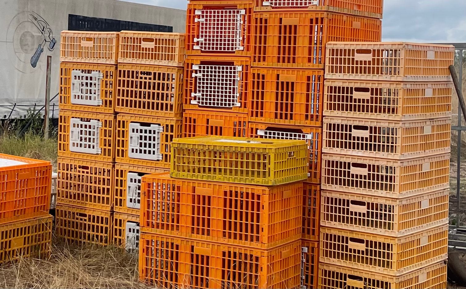 Vervoerskratten en koeling en kap, Dieren en Toebehoren