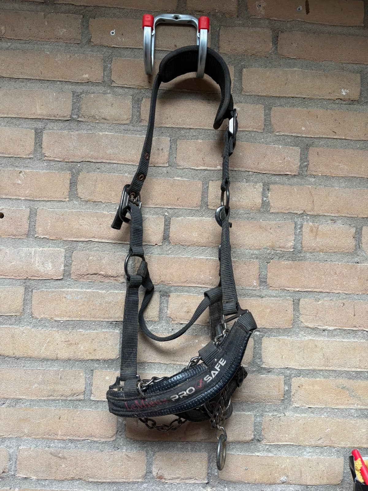 Halster met hengsten ketting, Overige disciplines, LeMieux, Ophalen of Verzenden, Halster