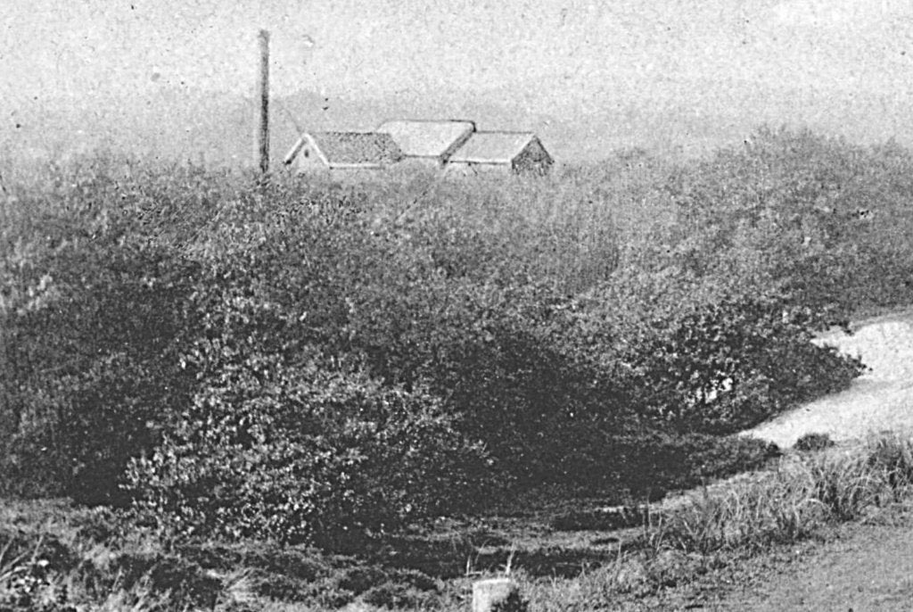 967640	Zwarte weg i d Duinen te Bergen NH	NH	Niet gelopen, Ophalen of Verzenden, Voor 1920, Gelopen, Noord-Holland