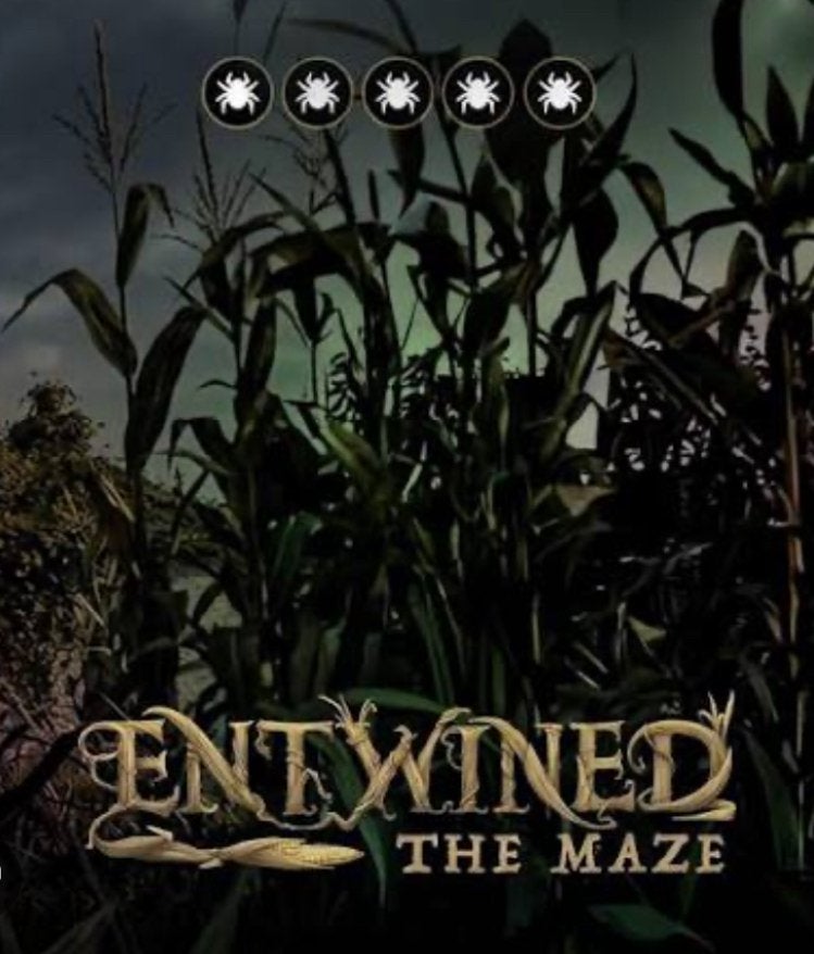 GEZOCHT KAARTJE TOVERLAND ENTWINED THE MAZE 1november 2026, Eén persoon