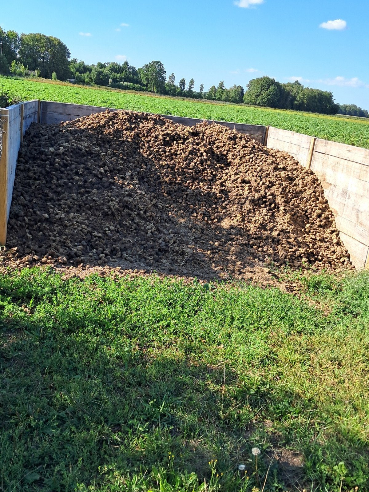 Gratis paardenmest voor moestuin of tuin, Ophalen of Verzenden