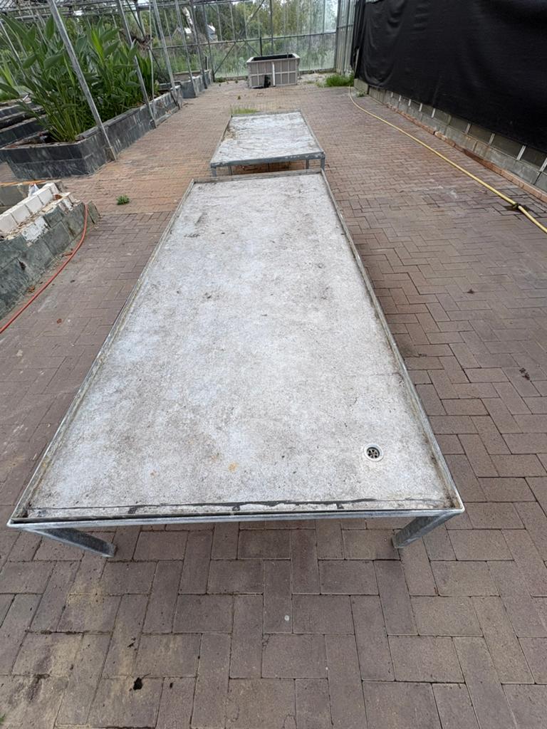 Planten/kweektafels 11 stuks., Tuin en Terras, Ophalen, Gebruikt