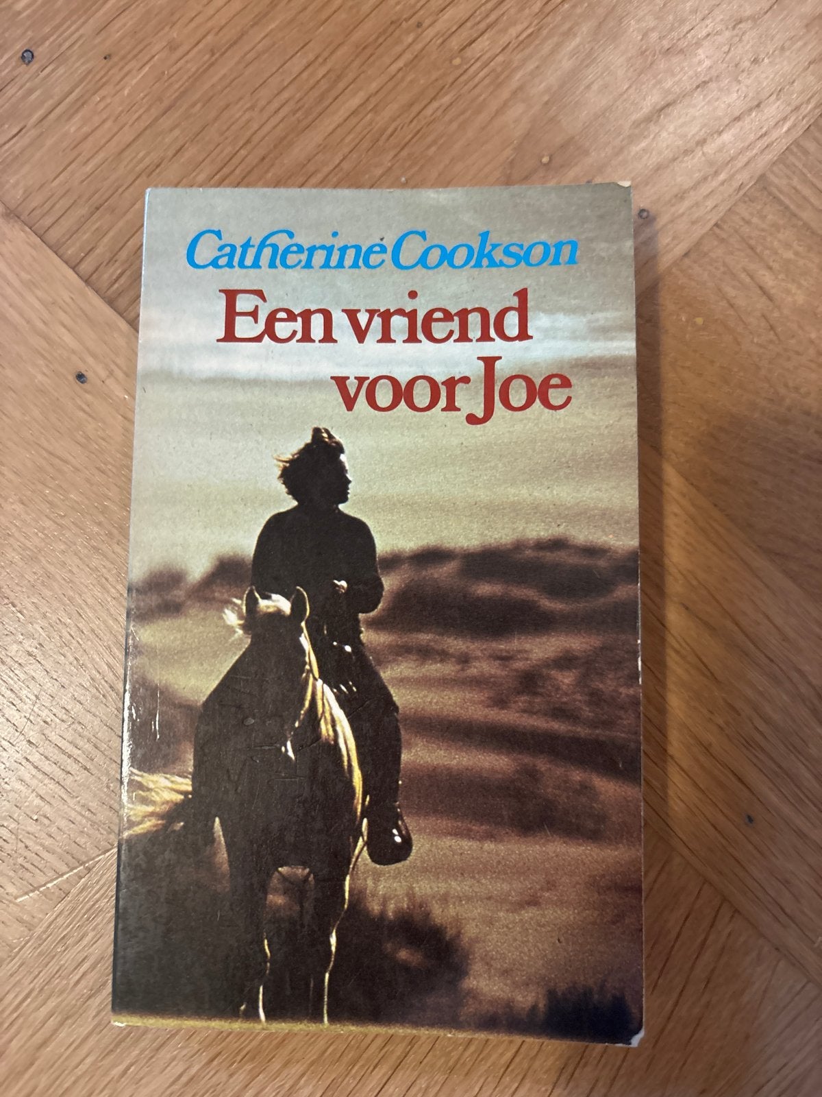 Catherine Cookson - Een vriend voor Joe (Boek), Ophalen of Verzenden, Gelezen, Nederland