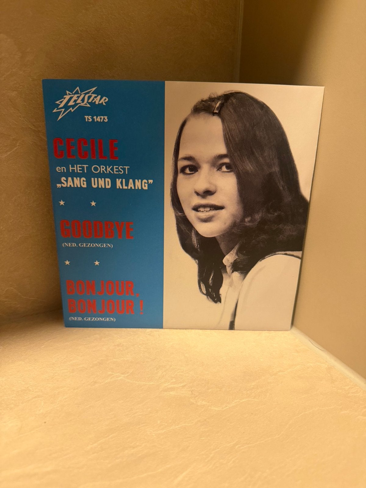 Herpers Cecile - Goodbye, Ophalen of Verzenden, Zo goed als nieuw, 7 inch, Levenslied of Smartlap