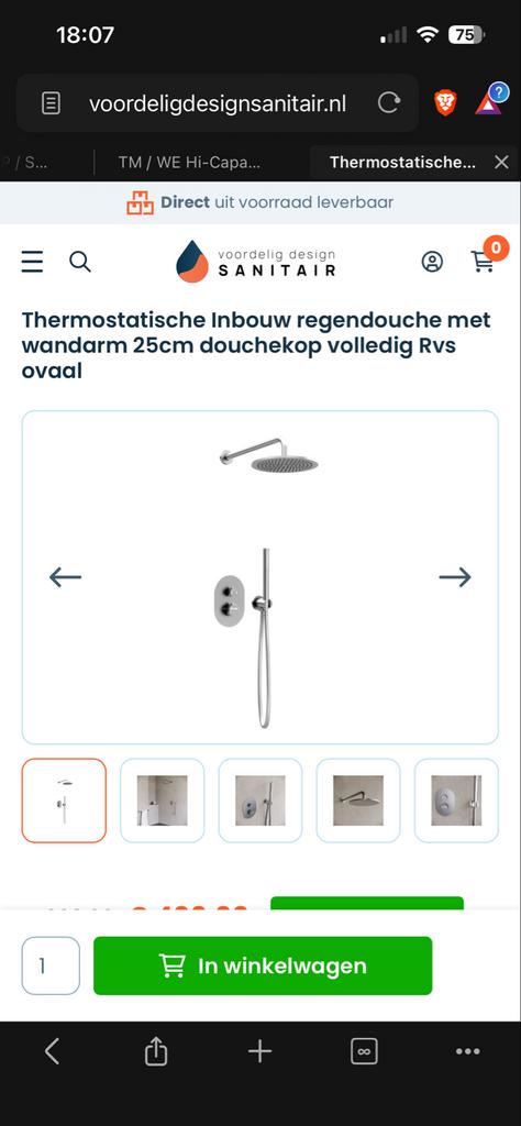 Thermostatische Inbouw Regendouche RVS Ovaal 25cm, Huis en Inrichting, Ophalen, Nieuw, Grijs, Overige typen