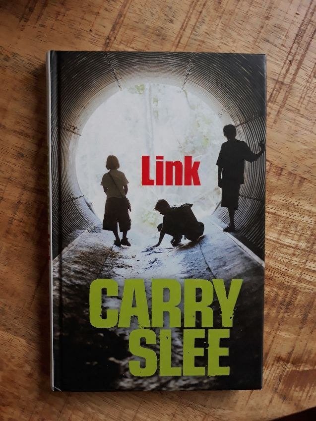230/    LINK  van  Carry  Slee  , Ophalen of Verzenden, Zo goed als nieuw