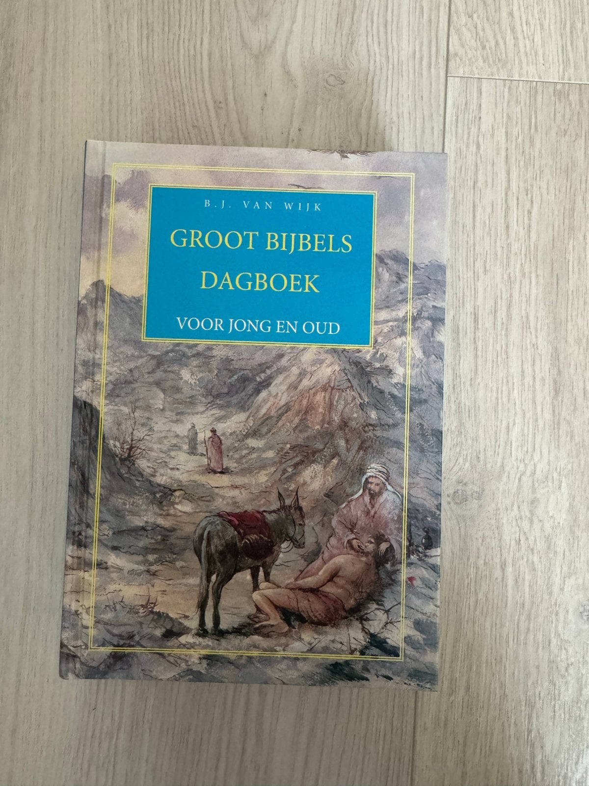 Groot Bijbels Dagboek voor Kinderen, Ophalen of Verzenden, Zo goed als nieuw, Christendom | Protestants