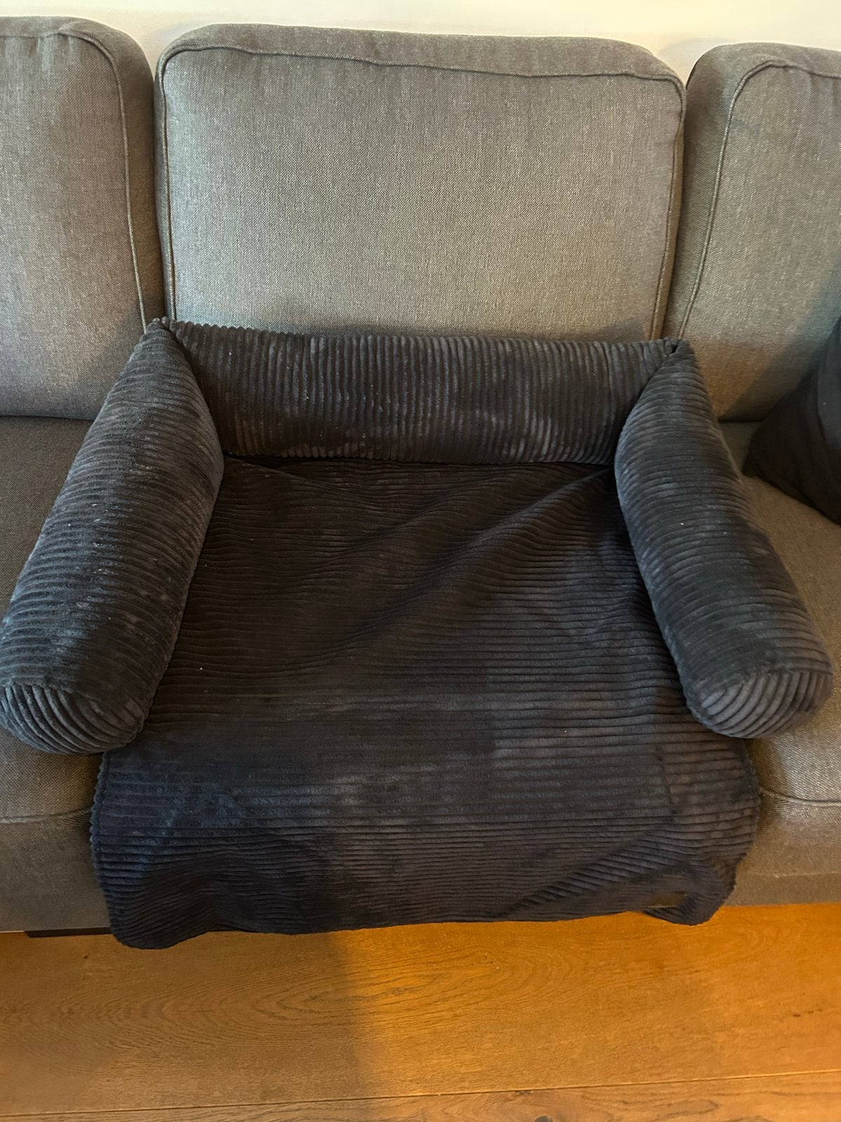 Designed by Lotte Bankkussen - Hond - Antraciet - 70x50 cm, Ophalen of Verzenden, Zo goed als nieuw
