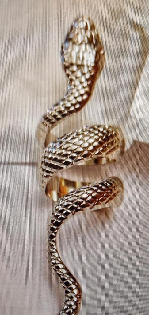 Slang ring, 18 tot 19, Verzenden, Nieuw, Dame of Heer