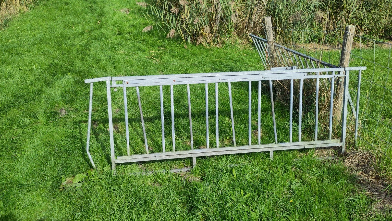 voerhek, hek, Dieren en Toebehoren, Vrouwelijk, Schaap