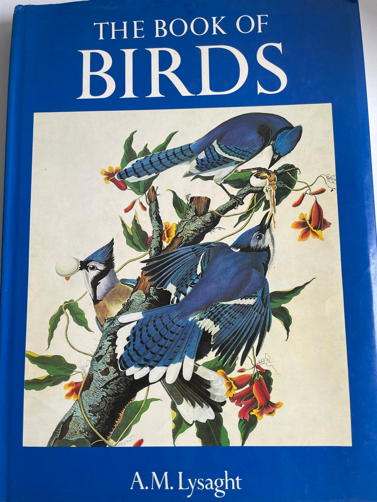 The Book of Birds - Geïllustreerd vogelboek, Boeken, Ophalen of Verzenden, Zo goed als nieuw, Vogels