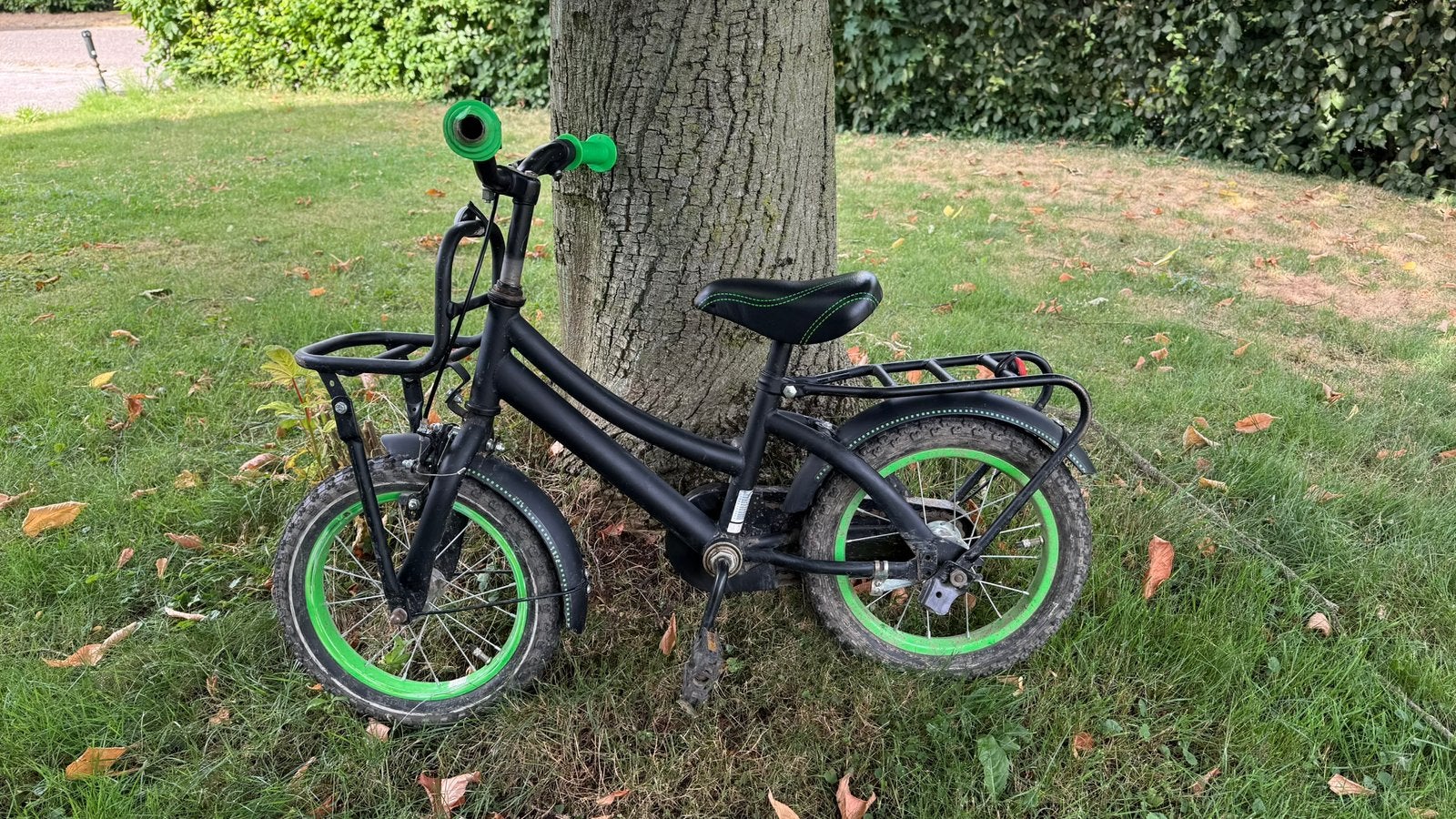 Kinderfietsje 14 inch, Ophalen, Gebruikt, Terugtraprem, Minder dan 16 inch
