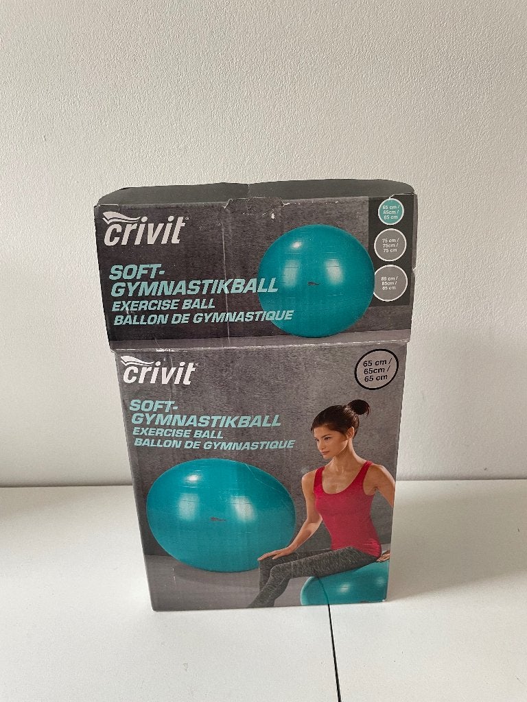 gymnastiek bal, Sport en Fitness, Fitnessmaterialen, Ophalen of Verzenden, Nieuw, Rug, Fitnessbal