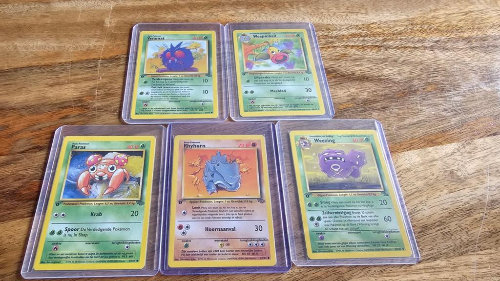First Editions Jungle Nederlands, Verzenden, Zo goed als nieuw, Meerdere kaarten