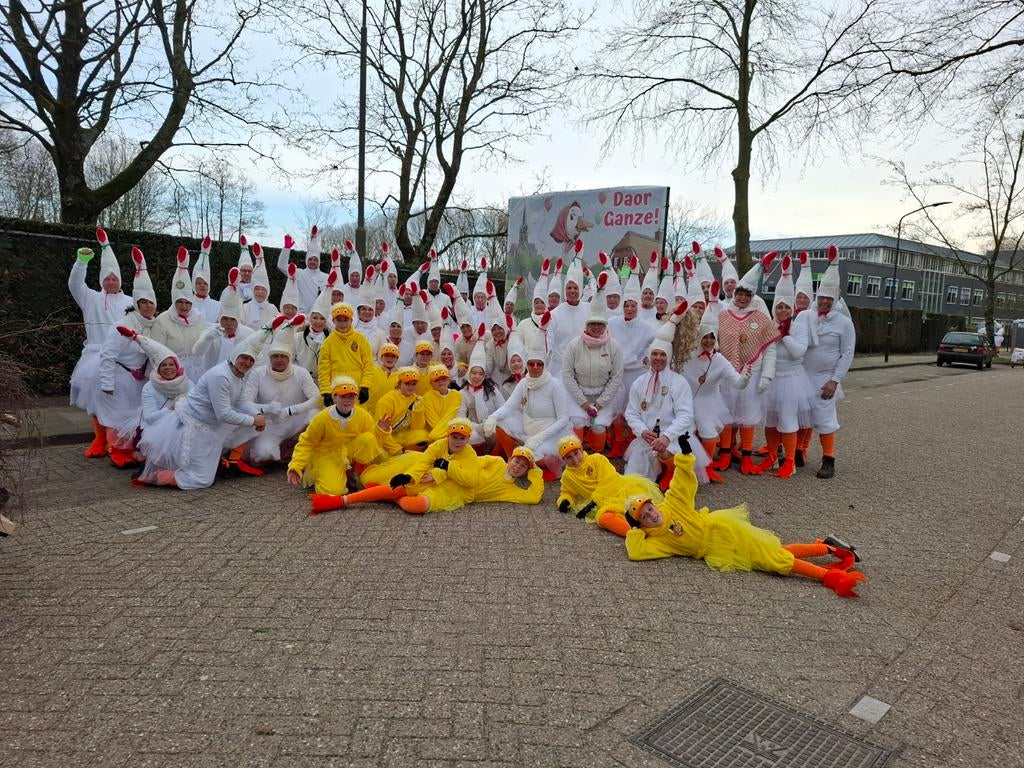 Carnavals loopgroep  Daor gaonze gans ganzen, Ophalen of Verzenden, Zo goed als nieuw, Carnaval