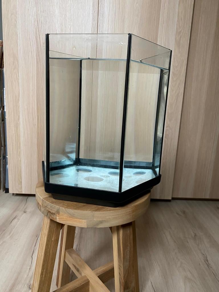 Nano aquarium hexagon 15L, Dieren en Toebehoren, Vissen | Aquaria en Toebehoren, Gebruikt, Leeg aquarium, Ophalen